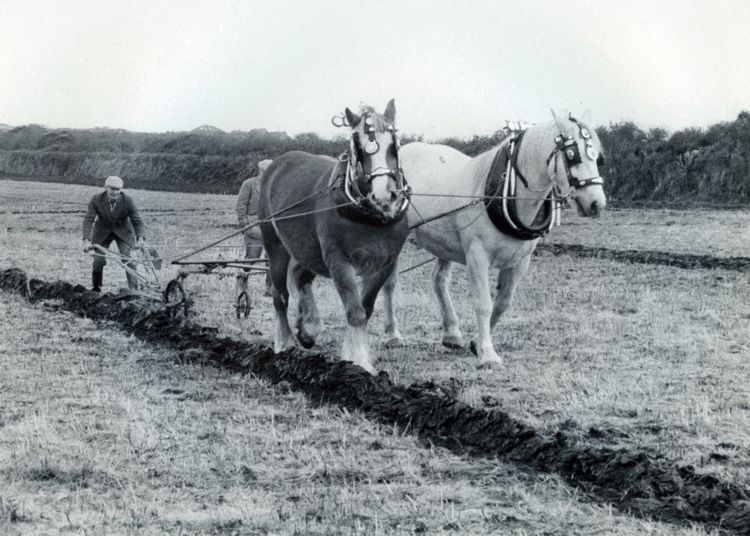 Plough Monday Cornwall For Ever!