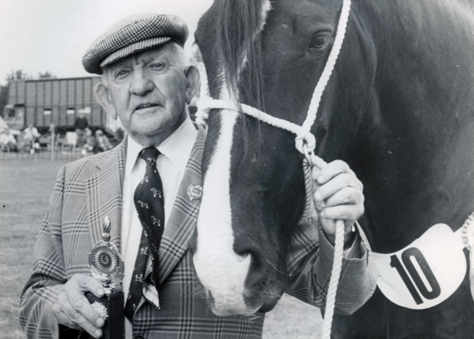 Heavy Horse category winner at Stithians Show in the 1980s
