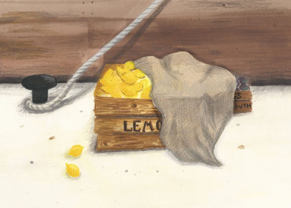 Illustration of smuggled lemons on the Falmouth Packet Service ships