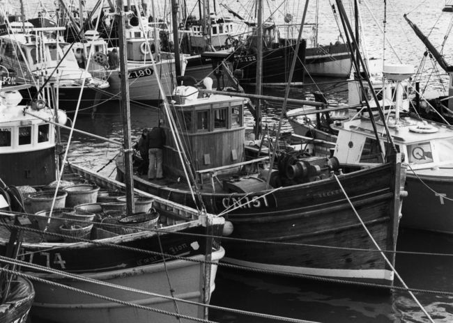 Long line fishing trawlers in Newlyn Harbour